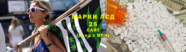 индика Балабаново