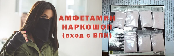 индика Балабаново