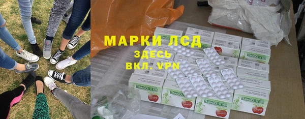 индика Балабаново