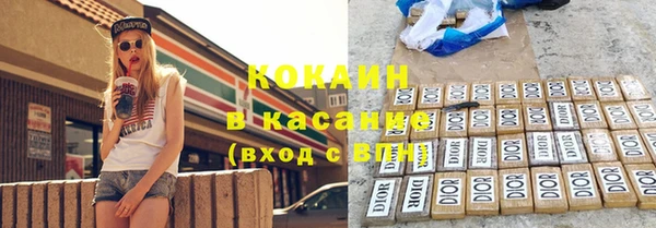 прущие грибы Баксан