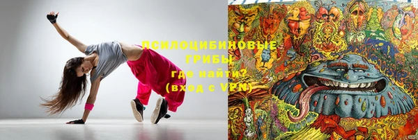 прущие грибы Баксан