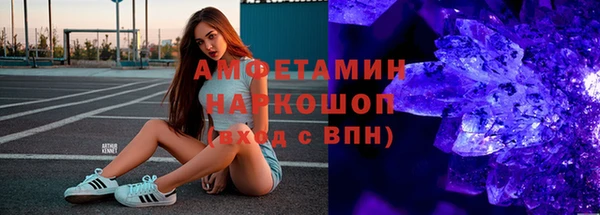 прущие грибы Баксан