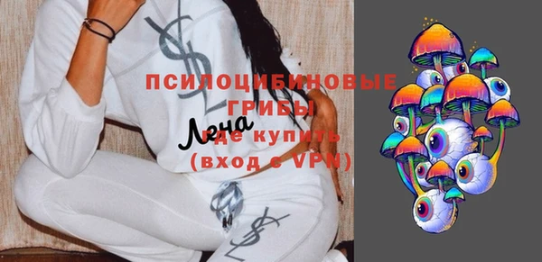 прущие грибы Баксан