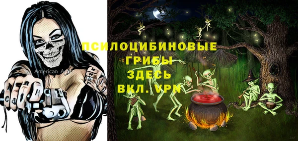 прущие грибы Баксан