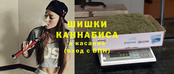 прущие грибы Баксан