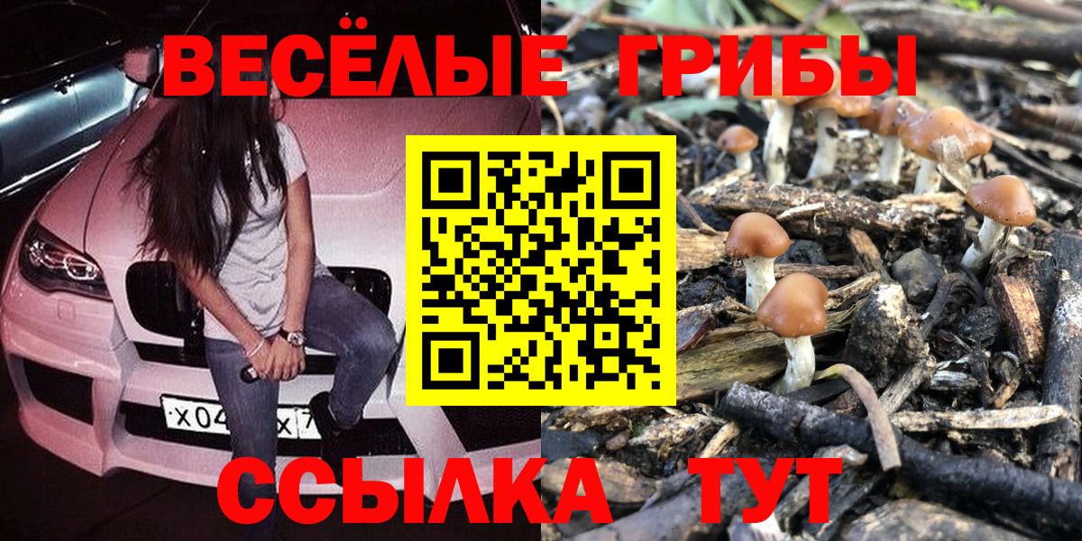 Псилоцибиновые грибы мухоморы Воркута