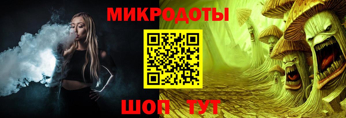 Галлюциногенные грибы Psilocybine cubensis  Воркута 